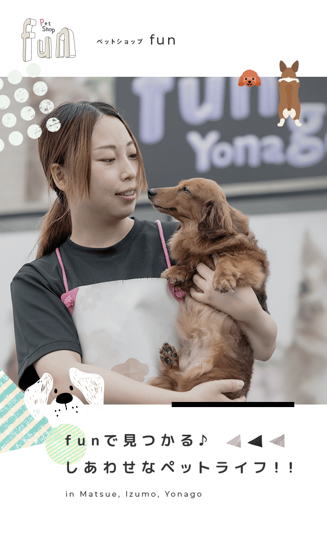 公式 ペットショップfun ファン 松江 出雲 米子の自家繁殖犬販売店